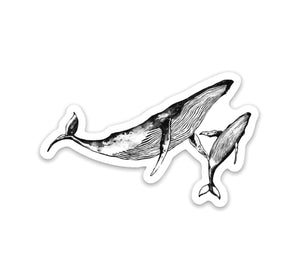 ~ Whale Mama & Calf Sticker ~
