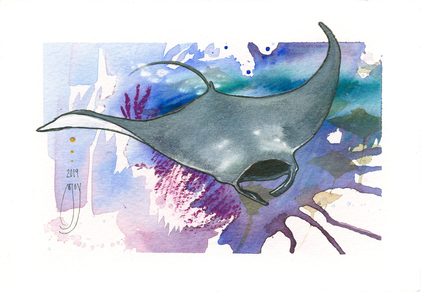 ~ Manta Ray ~